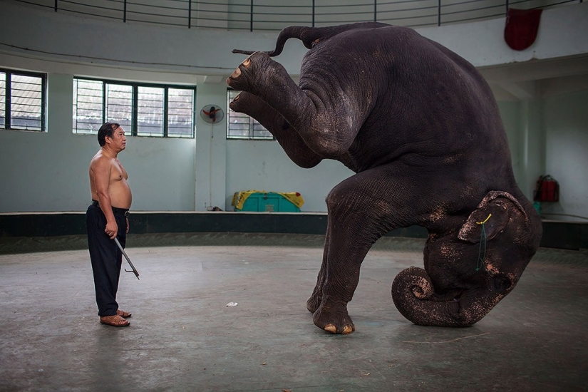 Estar en el personaje: La dura vida cotidiana de los artistas de circo vietnamitas Estar en el personaje: La dura vida cotidiana de los artistas de circo vietnamitas
