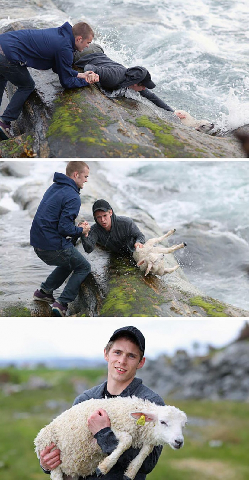 Estas fotos le devolverán la fe en la humanidad. Estas fotos le devolverán la fe en la humanidad.