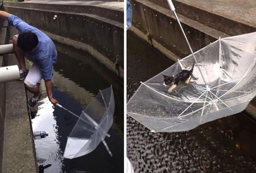 Estas fotos le devolverán la fe en la humanidad. Estas fotos le devolverán la fe en la humanidad.