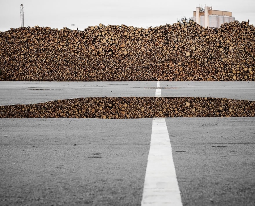 Estas fotos parecen falsas, pero son las más reales!