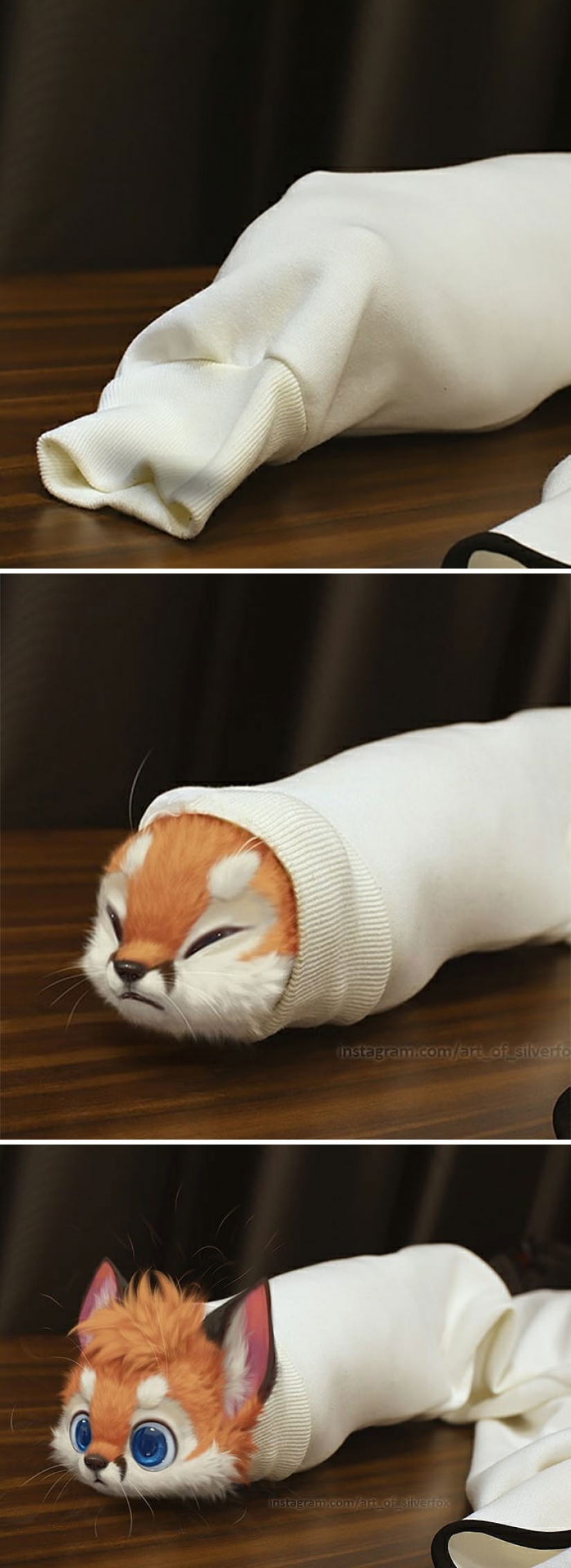 Este artista no tiene mascotas, por lo que pone animales peludos digitales en situaciones de la vida real. Este artista no tiene mascotas, por lo que pone animales peludos digitales en situaciones de la vida real.