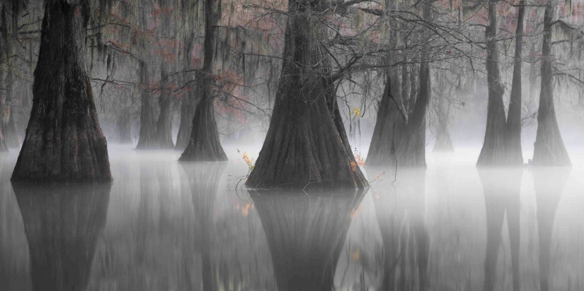 Estos paisajes te dejan sin aliento: 15 ganadores del concurso internacional de fotografía panorámica