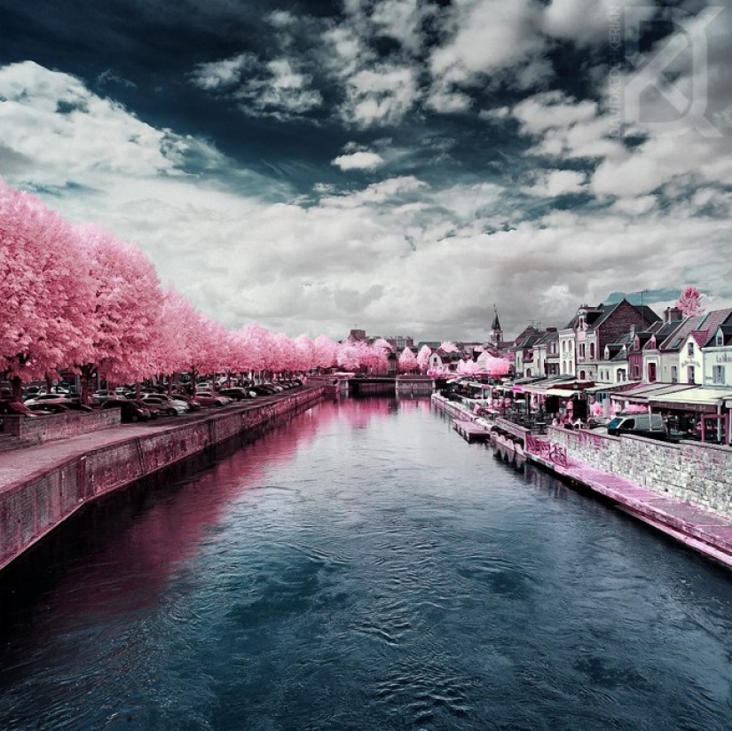 Fairy world in infrared light