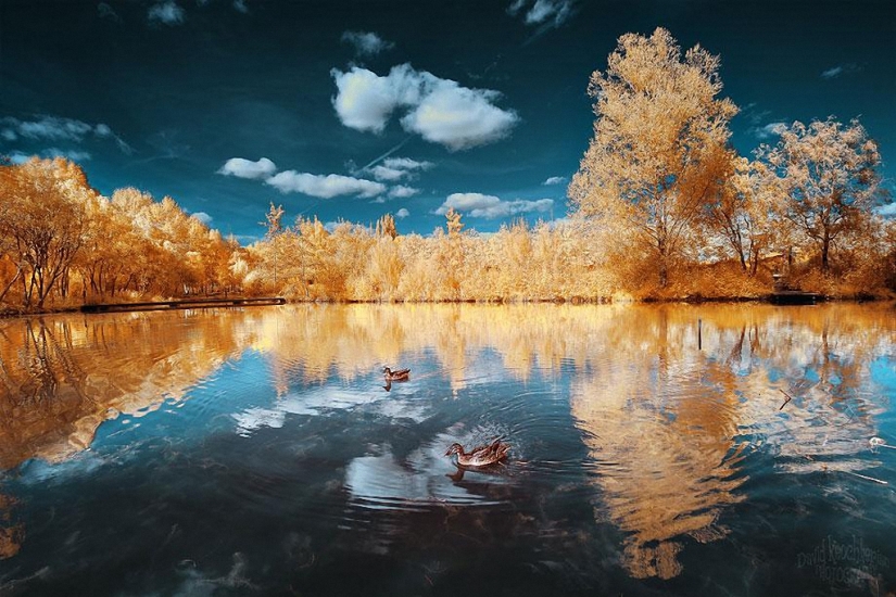 Fairy world in infrared light