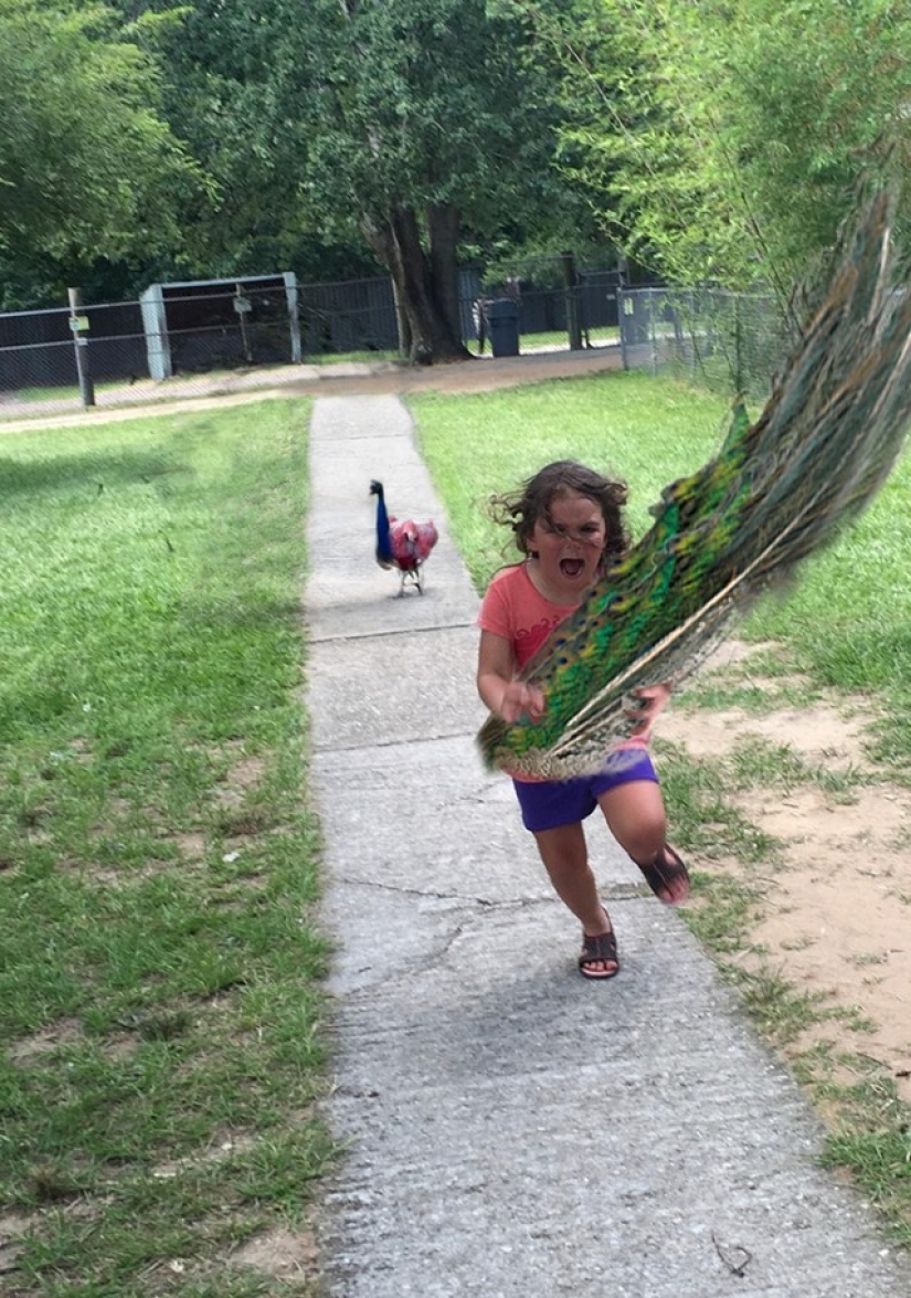 Family trip to the zoo went wrong