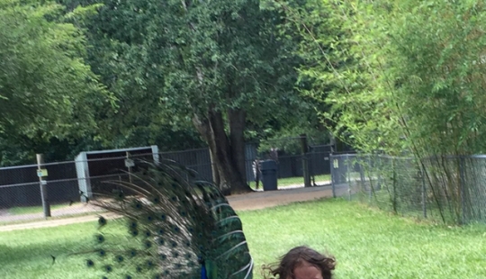 Family trip to the zoo went wrong