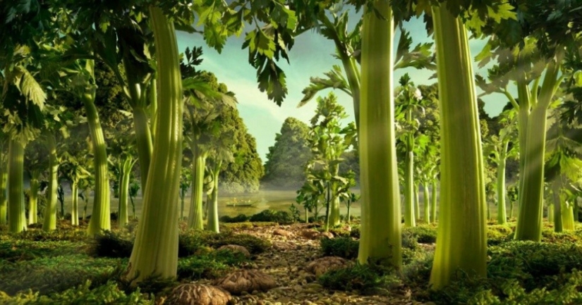Fantastic landscapes of food. It happens like this Fantastic landscapes of food. It happens like this