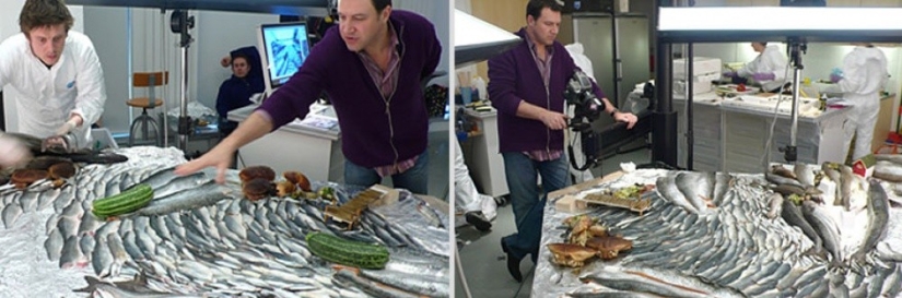 Fantastic landscapes of food. It happens like this Fantastic landscapes of food. It happens like this