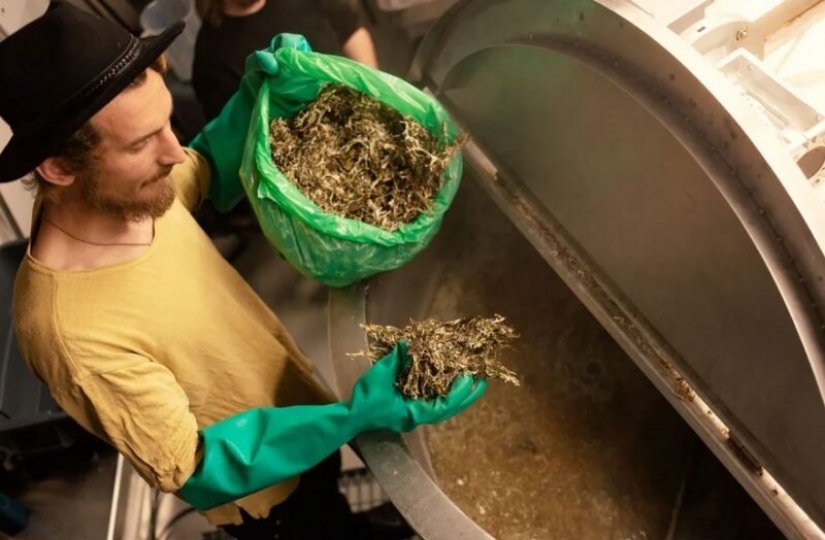 Finns presented beer made on goose droppings