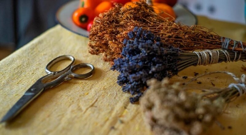 For beauty and health: 5 plants that need to be harvested and dried before the end of summer For beauty and health: 5 plants that need to be harvested and dried before the end of summer
