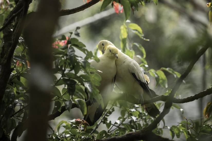 Fotógrafos de todo el mundo muestran lo que significa el amor