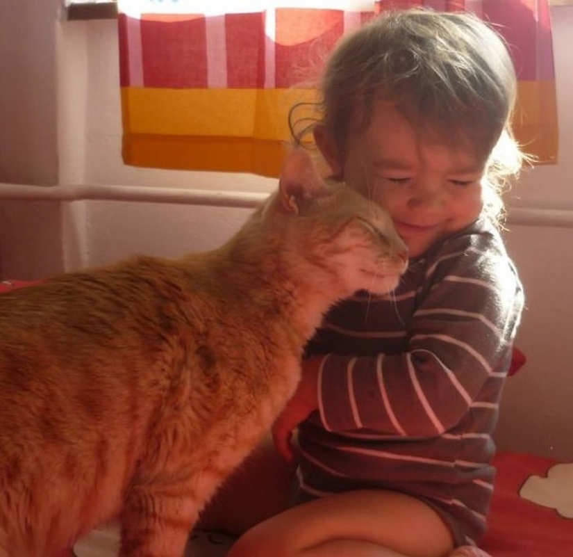 Fotos adorables, demostrando que tu hijo necesita un gato Fotos adorables, demostrando que tu hijo necesita un gato