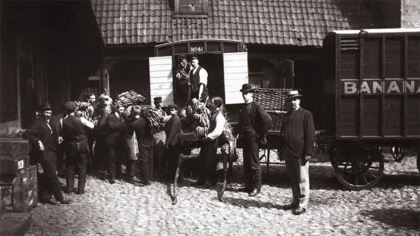 Fotos de archivo que capturaron momentos históricos raros