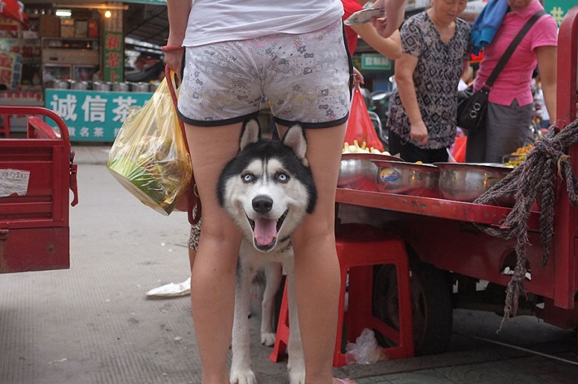 Fotos divertidas de la calle de China