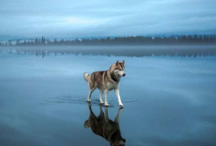 Fotos que llevarán tu mente más allá de la razón