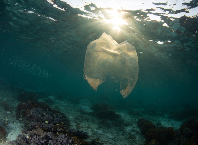 Fotos reveladoras muestran cómo los desechos plásticos están contaminando nuestro planeta Fotos reveladoras muestran cómo los desechos plásticos están contaminando nuestro planeta