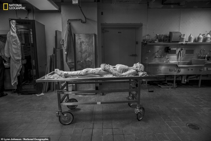 "Freeze and chop my body": an old woman bequeathed to cut and digitize her corpse