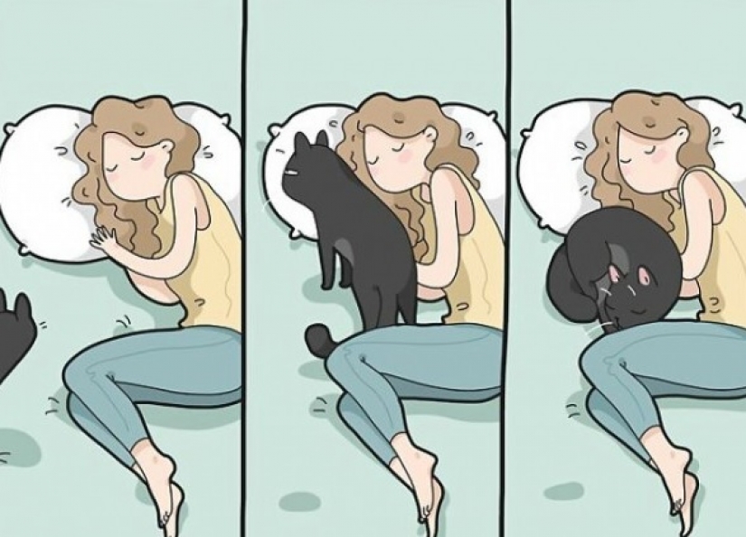 Gato comics Lingvistov, o Cómo Lirio del Valle Akhmetzyanova se convirtió en un ilustrador