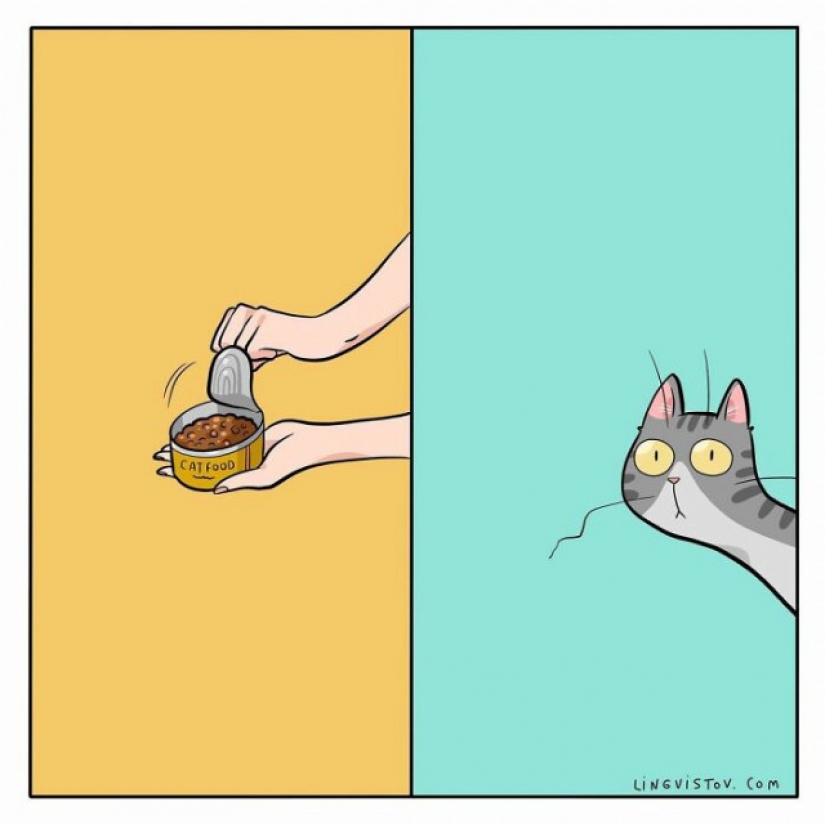 Gato comics Lingvistov, o Cómo Lirio del Valle Akhmetzyanova se convirtió en un ilustrador