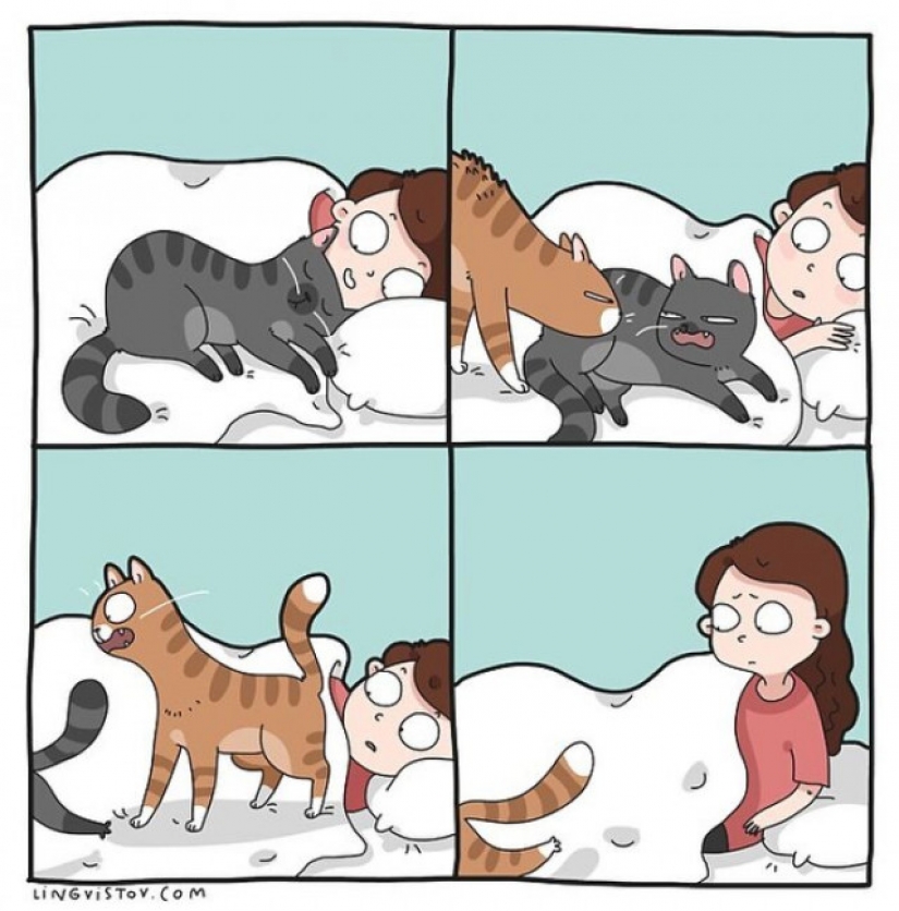 Gato comics Lingvistov, o Cómo Lirio del Valle Akhmetzyanova se convirtió en un ilustrador