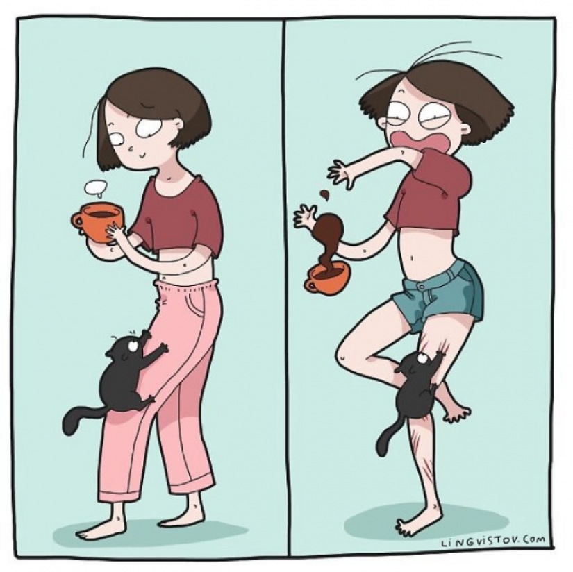Gato comics Lingvistov, o Cómo Lirio del Valle Akhmetzyanova se convirtió en un ilustrador