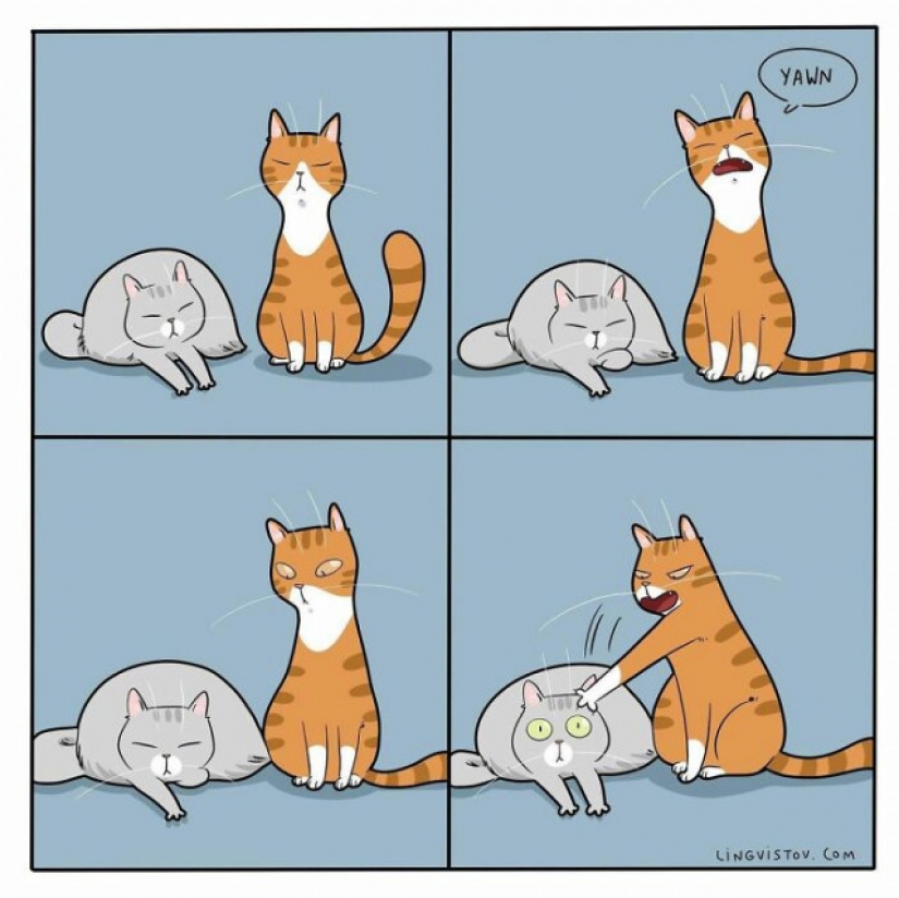 Gato comics Lingvistov, o Cómo Lirio del Valle Akhmetzyanova se convirtió en un ilustrador