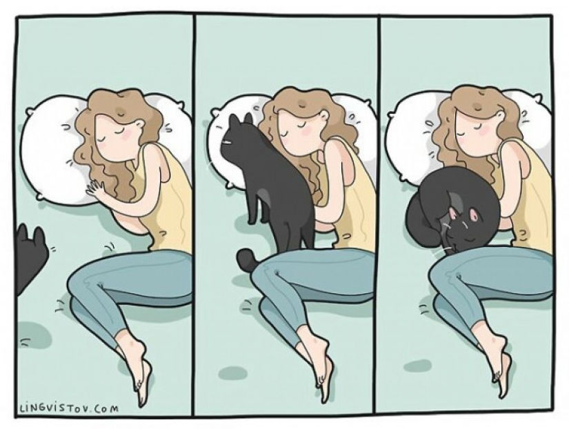 Gato comics Lingvistov, o Cómo Lirio del Valle Akhmetzyanova se convirtió en un ilustrador