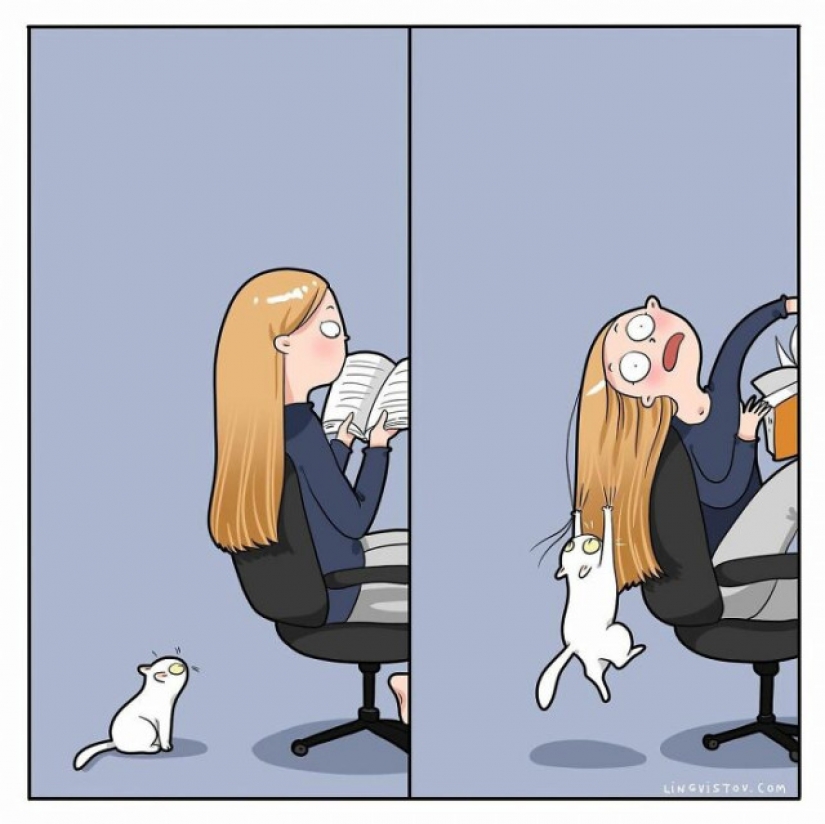 Gato comics Lingvistov, o Cómo Lirio del Valle Akhmetzyanova se convirtió en un ilustrador