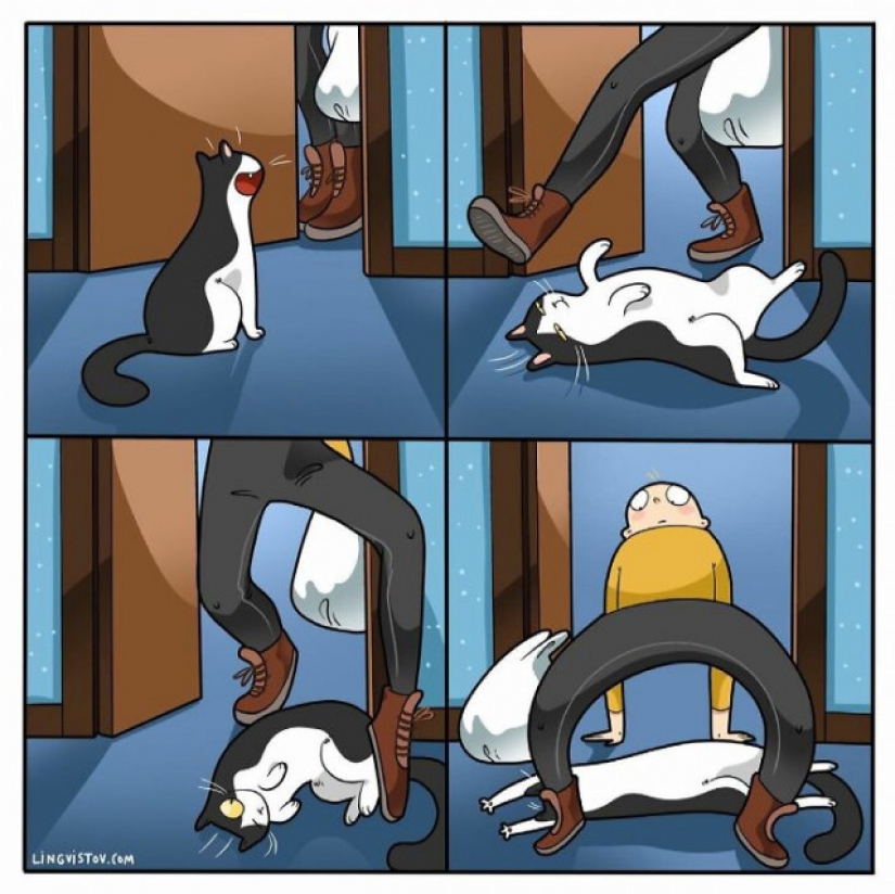 Gato comics Lingvistov, o Cómo Lirio del Valle Akhmetzyanova se convirtió en un ilustrador