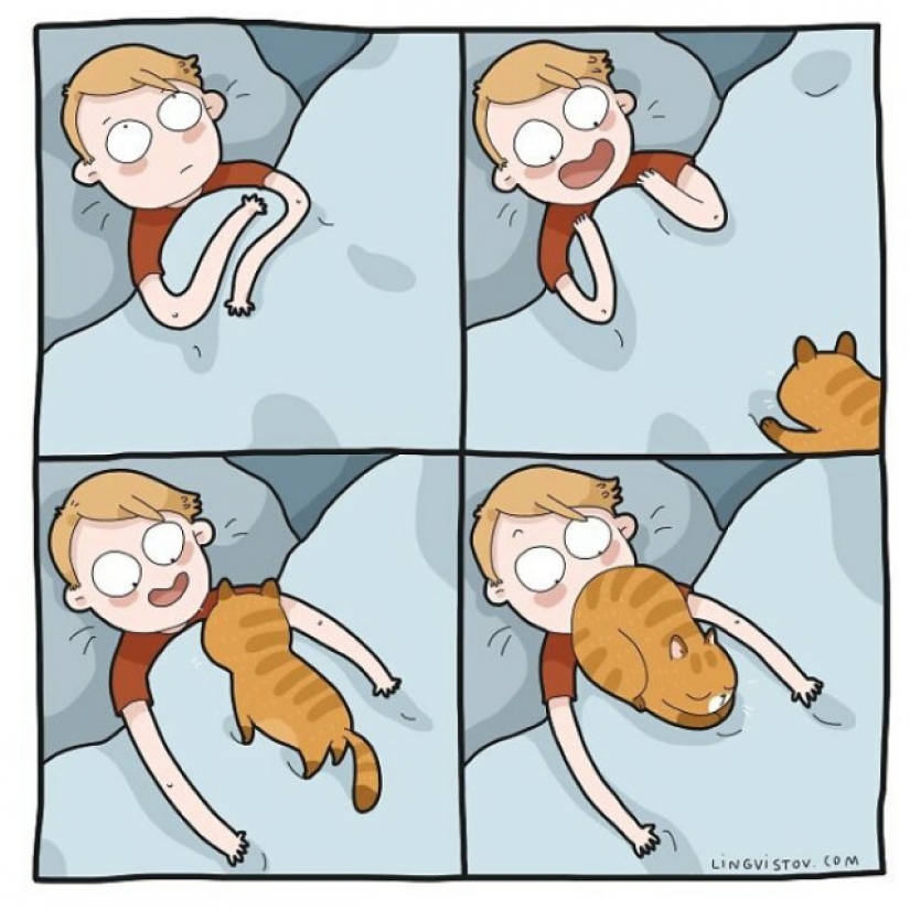 Gato comics Lingvistov, o Cómo Lirio del Valle Akhmetzyanova se convirtió en un ilustrador