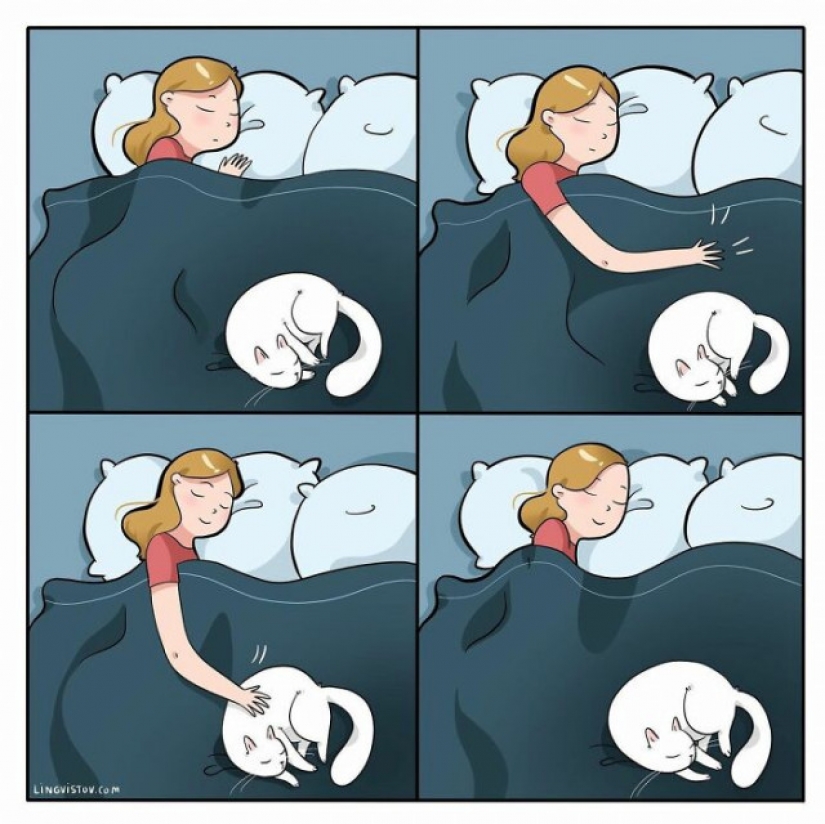 Gato comics Lingvistov, o Cómo Lirio del Valle Akhmetzyanova se convirtió en un ilustrador