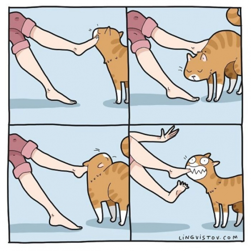 Gato comics Lingvistov, o Cómo Lirio del Valle Akhmetzyanova se convirtió en un ilustrador