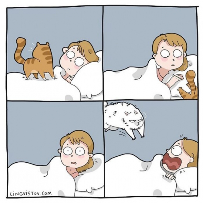 Gato comics Lingvistov, o Cómo Lirio del Valle Akhmetzyanova se convirtió en un ilustrador