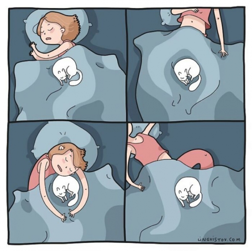 Gato comics Lingvistov, o Cómo Lirio del Valle Akhmetzyanova se convirtió en un ilustrador