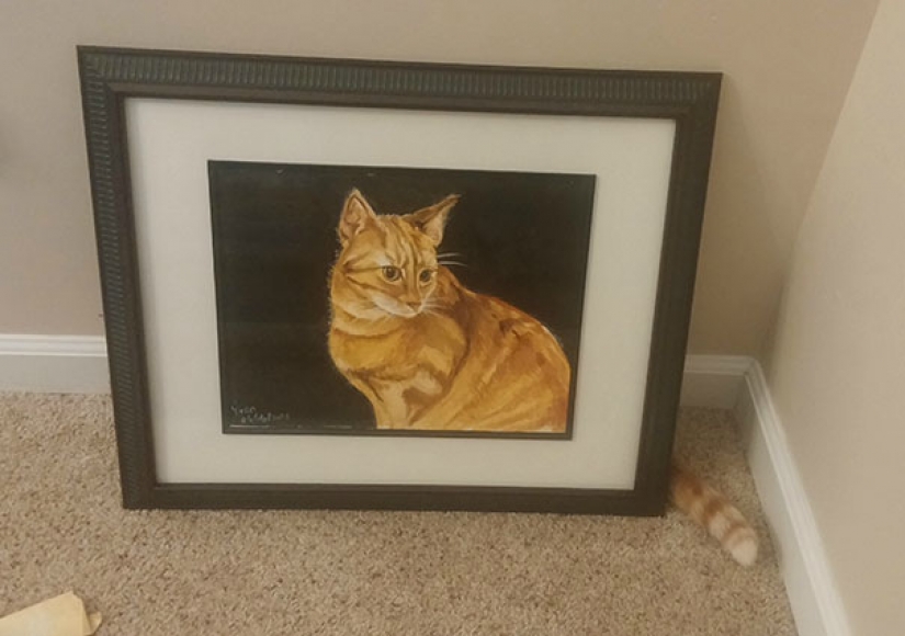 Gatos que se disfrazan perfectamente