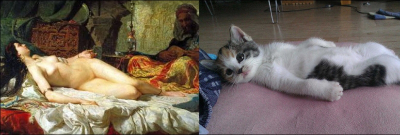 Gatos y arte Gatos y arte