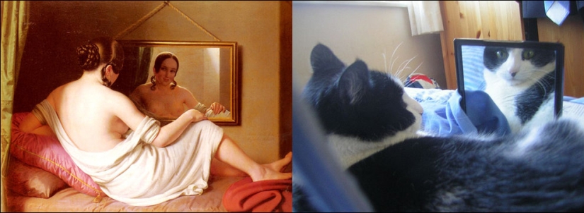 Gatos y arte Gatos y arte