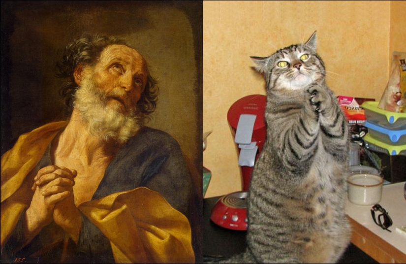 Gatos y arte Gatos y arte