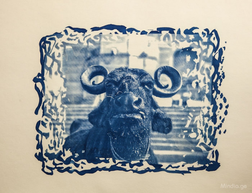 Georgian photographer uses a unique method of printing his photographs Georgian photographer uses a unique method of printing his photographs