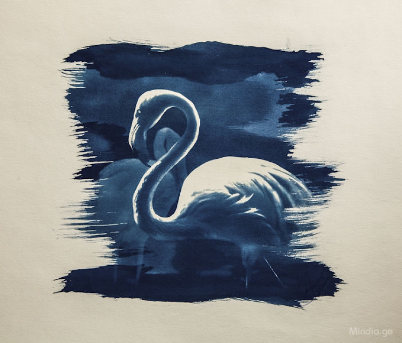 Georgian photographer uses a unique method of printing his photographs Georgian photographer uses a unique method of printing his photographs