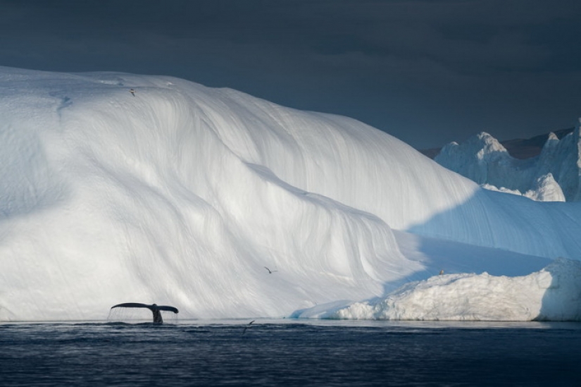 Glaciers and silence: The vanishing beauty of Greenland through the lens of Albert Dros Glaciers and silence: The vanishing beauty of Greenland through the lens of Albert Dros