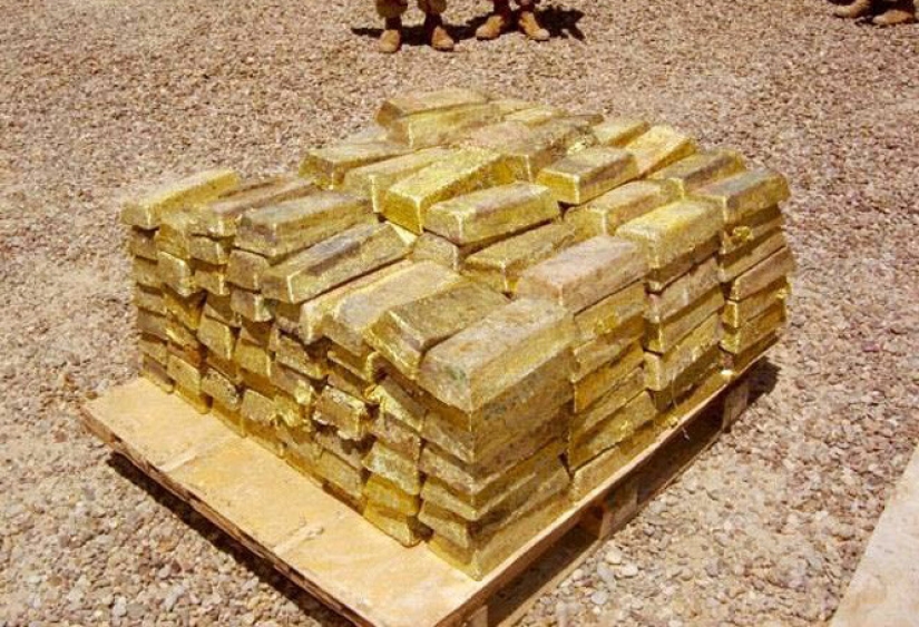 Go on a treasure hunt! 4 largest treasures that have not yet been found