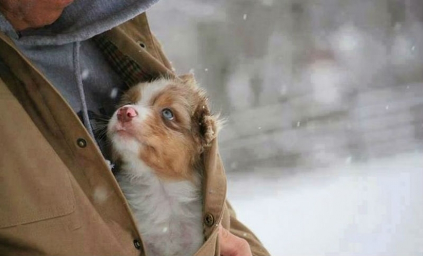 God help me to be the kind of person my dog thinks I am