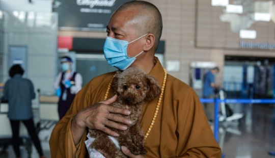Good mission: a monk from Shanghai takes care of 8,000 homeless animals