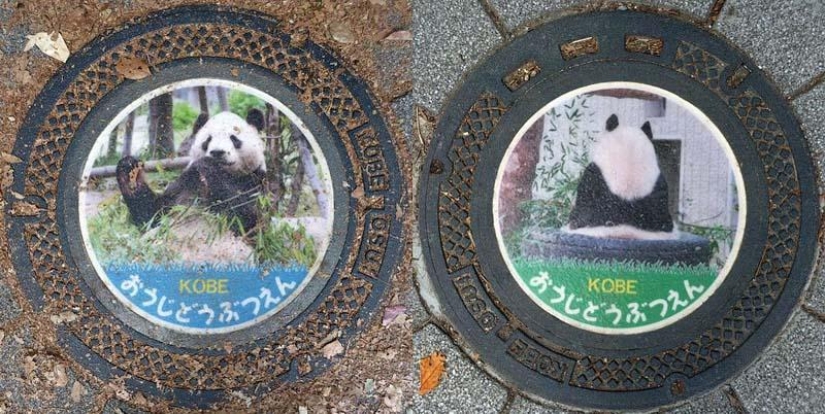 Hatches from around the world Hatches from around the world