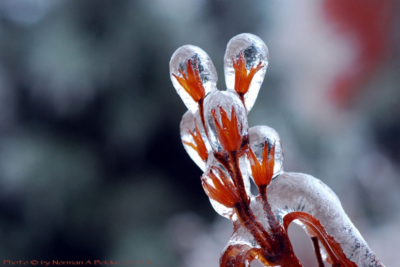 Helado de inspiración — 23 fotos de interesantes formaciones de hielo