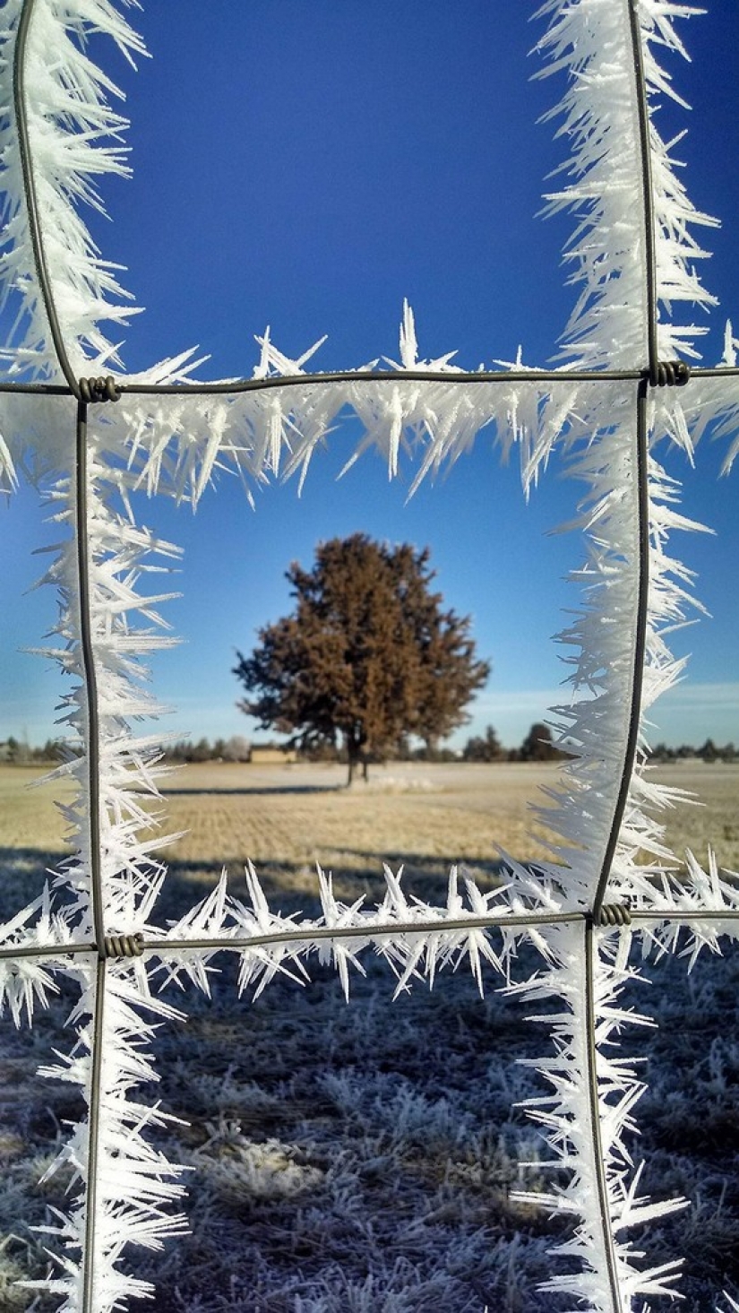 Helado de inspiración — 23 fotos de interesantes formaciones de hielo