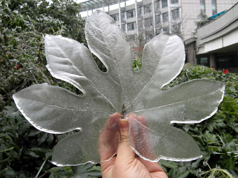 Helado de inspiración — 23 fotos de interesantes formaciones de hielo