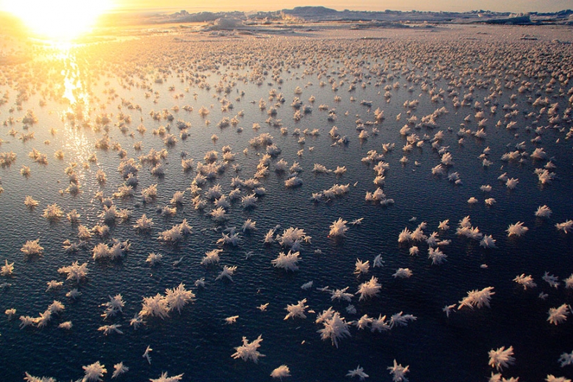 Helado de inspiración — 23 fotos de interesantes formaciones de hielo