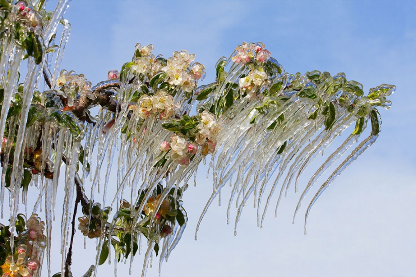 Helado de inspiración — 23 fotos de interesantes formaciones de hielo
